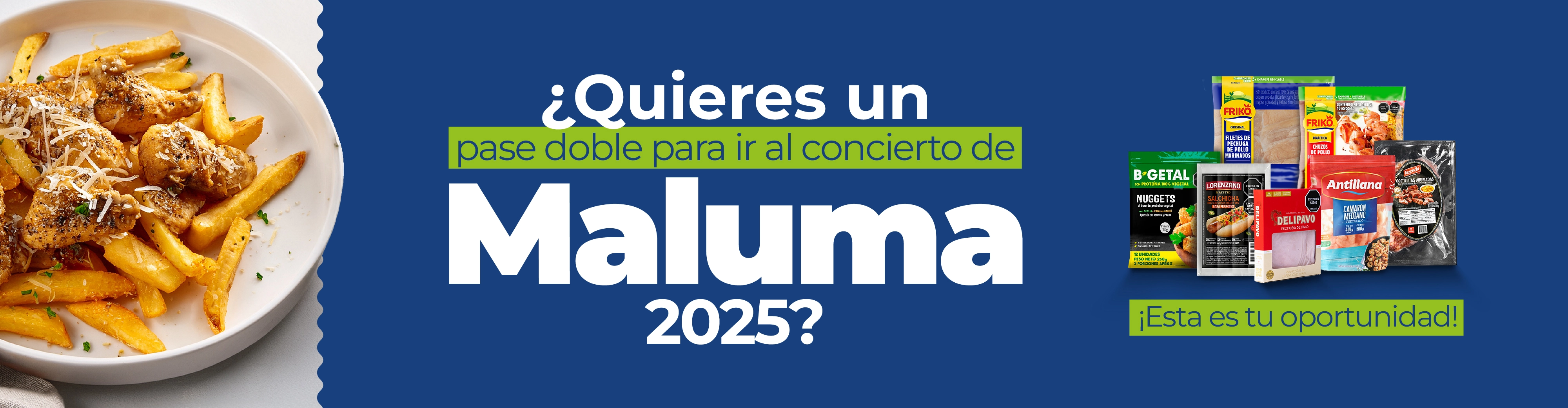 Banner carnaval